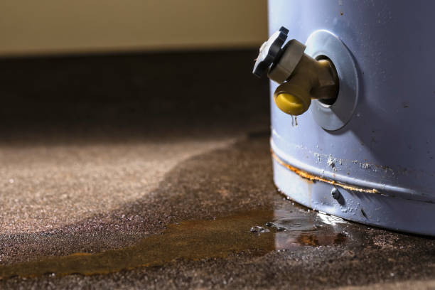 Best Water damage cleanup near me  in St Joseph, MI