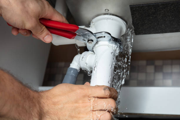 Best Flood damage cleanup  in St Joseph, MI