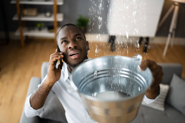 Best Water damage restoration near me  in St Joseph, MI