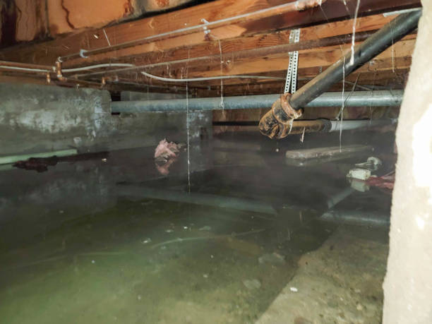 Professional Water damage restoration in St Joseph, MI