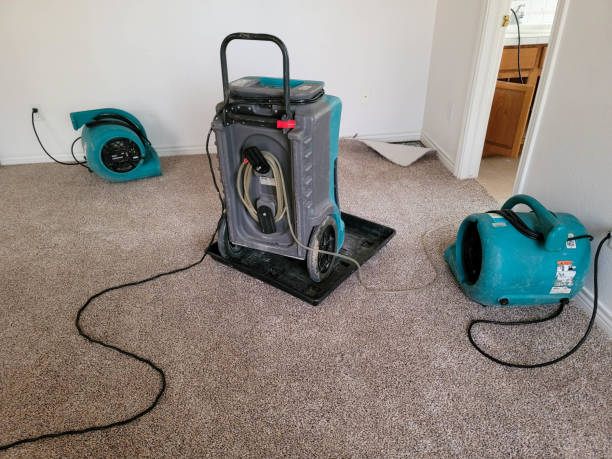 Best Sewage cleanup and water damage restoration  in St Joseph, MI
