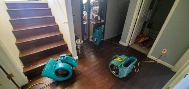 Best Residential water damage restoration  in St Joseph, MI