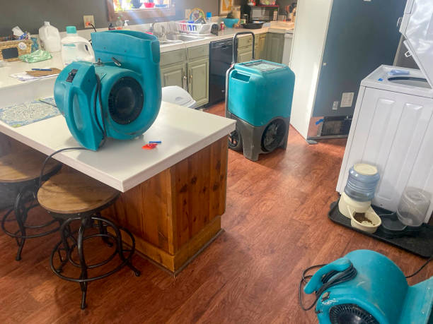 Best Ceiling water damage repair  in St Joseph, MI