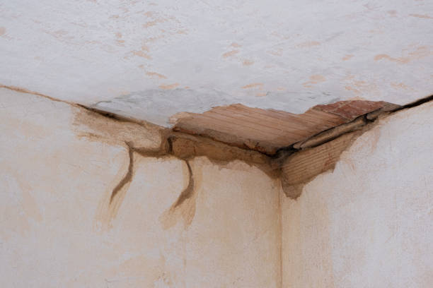 Best Ceiling water damage repair  in St Joseph, MI