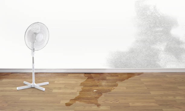 St Joseph, MI Water damage restoration Company
