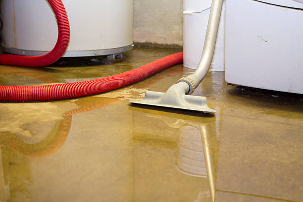 Water damage restoration mold remediation in St Joseph, MI