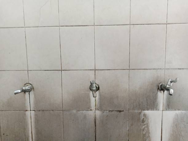 Best Local water damage restoration  in St Joseph, MI