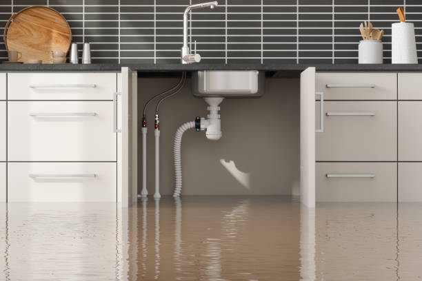Best Water damage contractors near me  in St Joseph, MI
