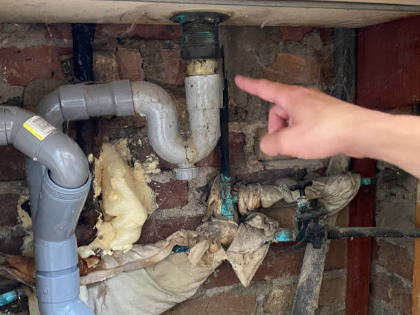 Best 24/7 water damage repair  in St Joseph, MI