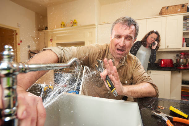 Best Professional water damage repair  in St Joseph, MI